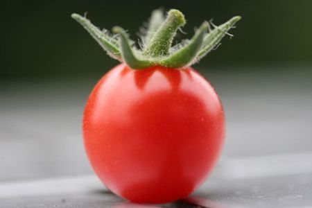 樱桃番茄种子——红双喜